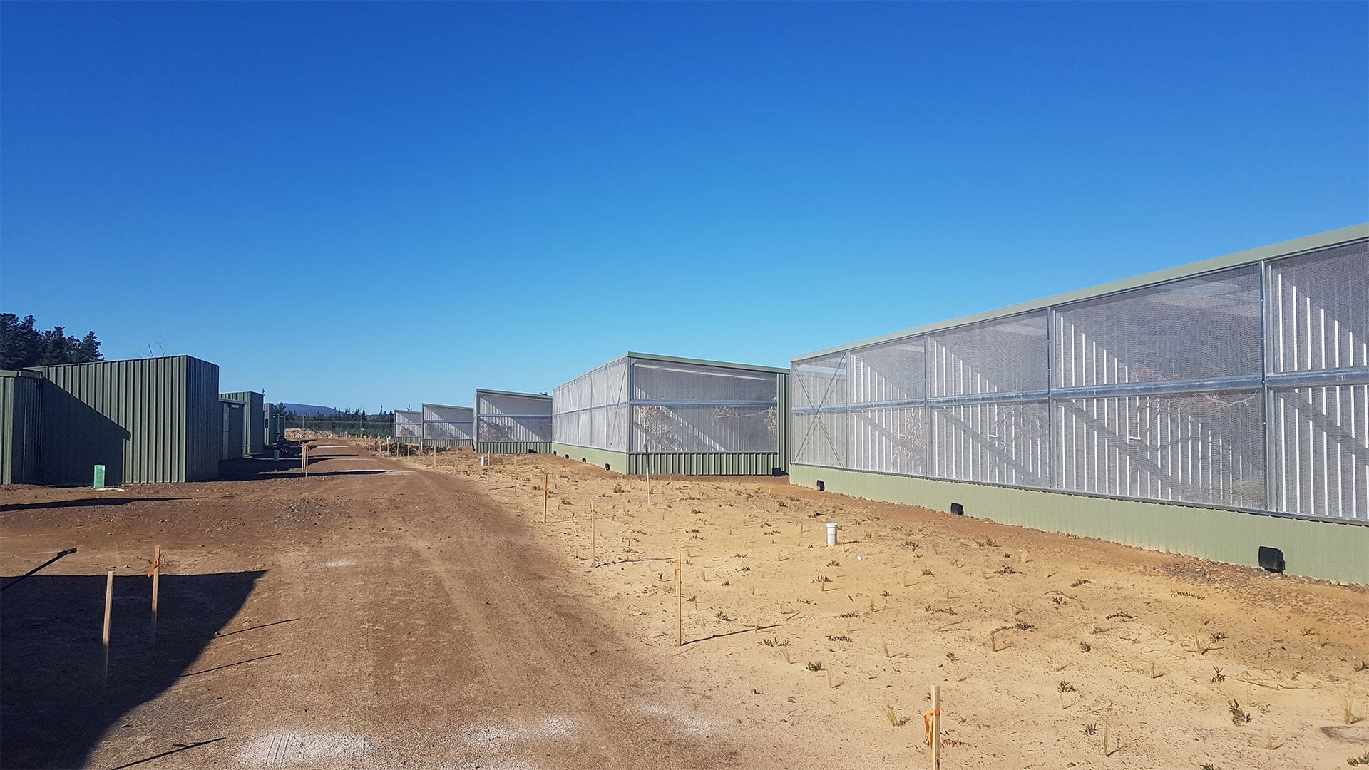 AVIARY COMPLEX FOR OBP PROGRAM BY ACERMAX